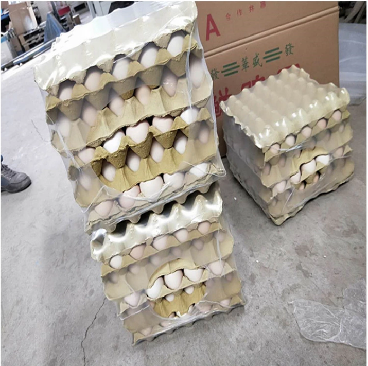 熱收縮包裝機(jī) 熱收縮包裝機(jī)